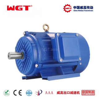 Трехфазный двигатель переменного тока с регулируемой частотой YVP, Китай Weigao WGT, тщательно отобранный