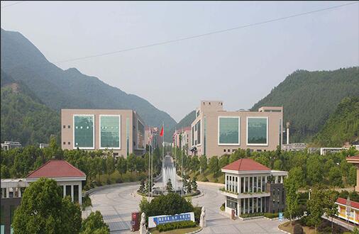 Китай Weigao Transmission Machinery Supply-Zhejiang Hisun Pharmaceutical Production Line Циклоидный редуктор-ZQ Закаленный поверхностный редуктор